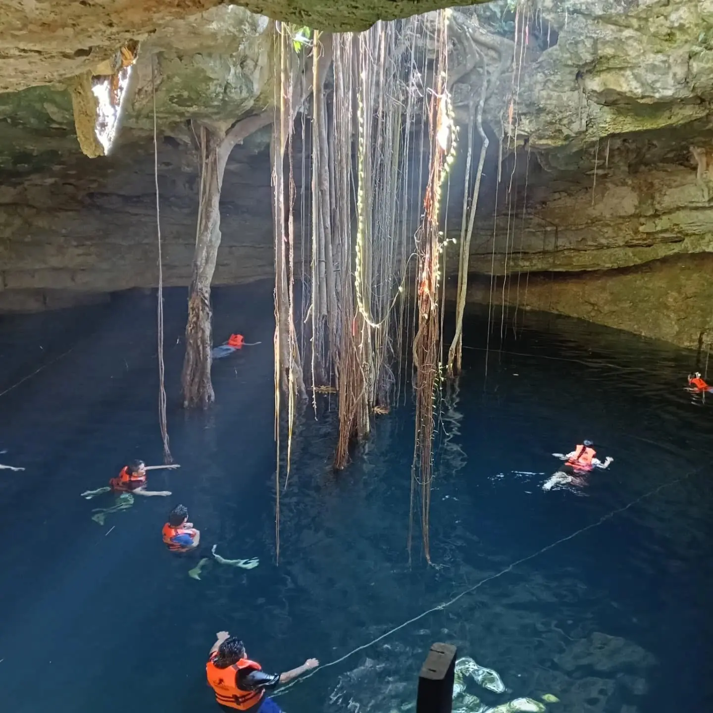 Vista interior de un cenote semiabierto con vegetación exuberante.