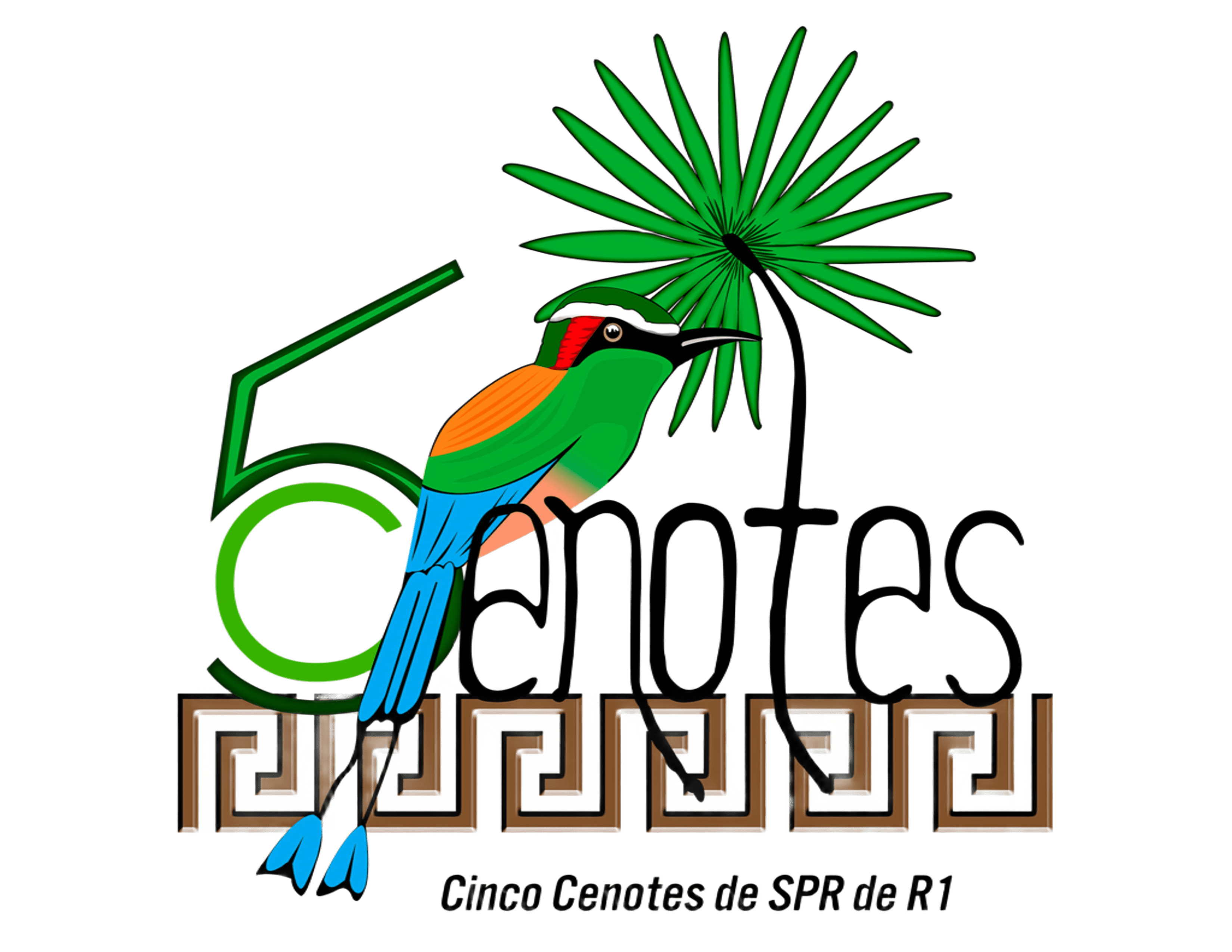 5 Cenotes