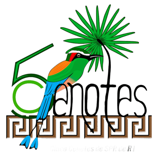 5 Cenotes: Ecoturismo y Nado en Cenotes en Kantunilkin